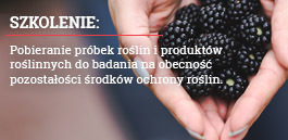 Normal bronisze szkolenie2 miniaturka